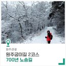원주굽이길 2코스 700년 노송길 이미지