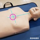 새움교육 - 파주시 경의로 1821 | 새움교육