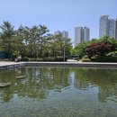 이레법무사사무소 - 천안시 동남구 청수5로 9 | 이레법무사사무소