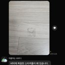 청소대장홈크린 | w. 천안 입주청소 (새집느낌)