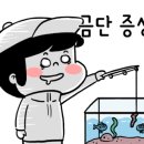 대영낚시터 이미지