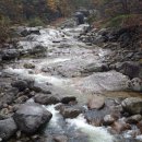 율곡세천 이미지