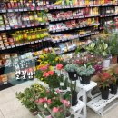 순천농협파머스마켓 봉화점 이미지