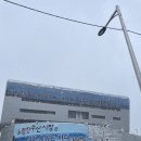 [내돈내산] 노량진수산시장 &#39;대호수산&#39; 대방어 맛집