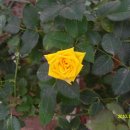 호산농원 이미지