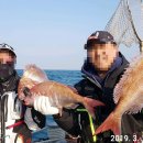 바다친구 이미지