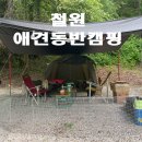 철원애견