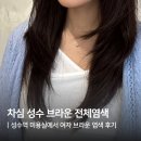 영선미용실 - 영천시 | 성수역 미용실 차심 성수 여자 브라운 전체염색 후기, 상담부터 컬러까지 대만족