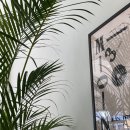 스몰띵즈 이미지