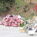 해안물양장 이미지