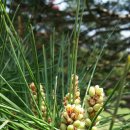 성호초등학교 이미지