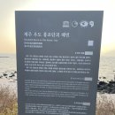 제주 우도 홍조단괴 해빈 | 제주 11월 우도 여행 우도 가볼만한 곳 서빈백사 우도 홍조단괴 해변