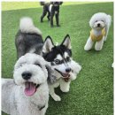 파라다이스유치원 이미지