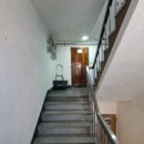 산호동285 이미지