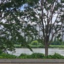 돈대감 솔잎황토구이 | 2박3일 울산-경주 여행