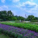 천문공원 이미지