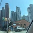 춘천 지역먹거리 직매장 | 춘천 로컬푸드 직매장 , 지역먹거리직매장 방문후기