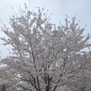 꿈의숲 라포레스타 | 북서울 꿈의숲 ㆍ라포레스타 레스토랑