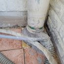 젤미세탁 이미지