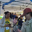 금란초교 이미지