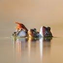 연못들3 이미지