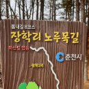 장학리노루목길(봄내길 8코스) 이미지