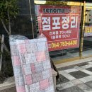 나아라 동물병원 | (제주에서) 2025년 12월 마지막주 + 2026년 1월 1주차 후기