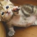 의상디자인 이미지