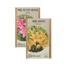 제이스플라워