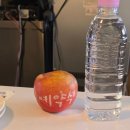 홍대면옥 | 홍대 파스타 맛집 / 서양면옥 연남 내돈내산 솔직후기