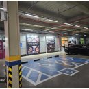 강남-223 이미지