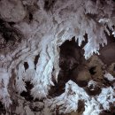 칼즈배드 이미지