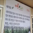 따봉시래기 이미지