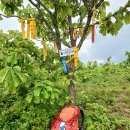 백연마을 이미지