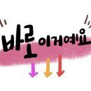 마론애견 이미지