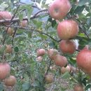 함양무도장 이미지