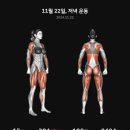 엘라ing스피닝