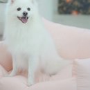 주식회사안다미로
