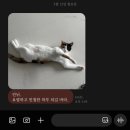 비 온 뒤 밤하늘엔 예쁜 별이 펼쳐진대