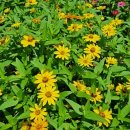 생명예찬2 이미지