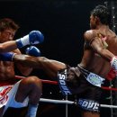 폭스 무에타이 이미지