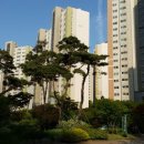 레미안3단지 이미지