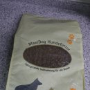 라이코 바이탈 코리아 이미지