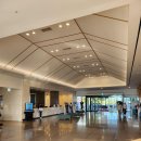 솔라고CC 라고 | [일상] 태안 솔라고 CC 3부 야간 라운딩 후기(라고 코스)