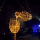 와인터널 이미지