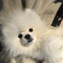 도봉-쌍문-도봉-1368 이미지