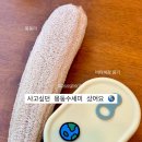블루게리타 이미지