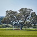 도룡마을 이미지