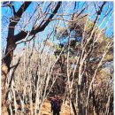 남해고등학교 | 고성 연화산(오서삼거리~연화2봉~연화1봉(매봉)~연화산~남산~옥천사~주차장(12k) 25.2.22. 토요일