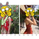 릴리(Lily) 이미지